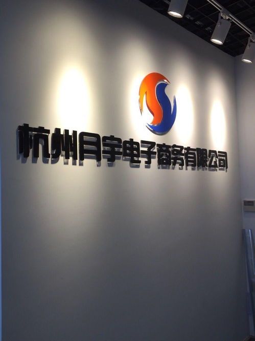 杭州月宇电子商务有限公司 电商浪潮中的创新实践与未来发展